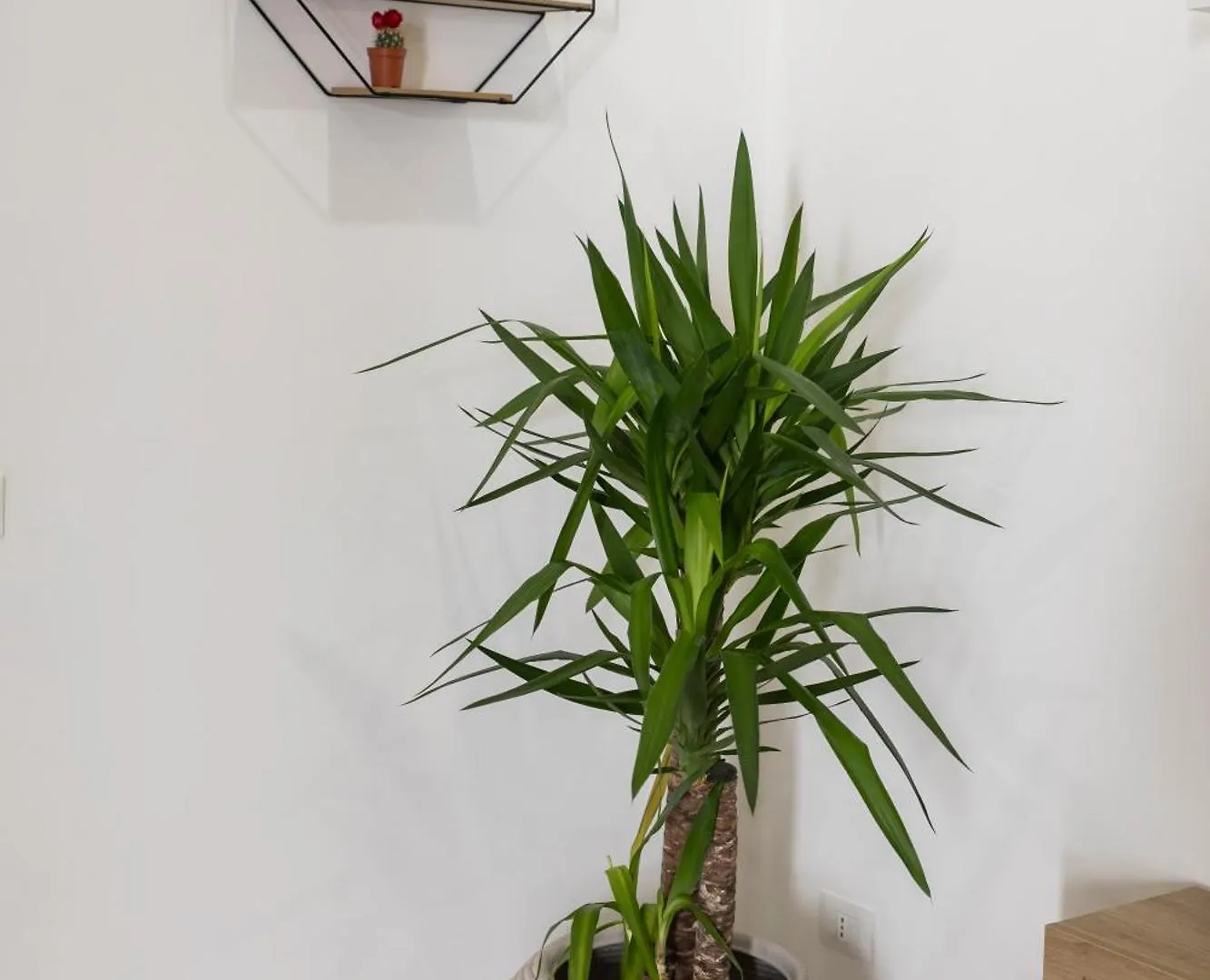 Apartment Maison Zisa - Proppro - Palermo Italy
